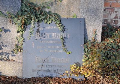 Radíčeves obecní, Omnium, 2020