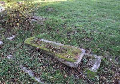 Radíčeves obecní, Omnium, 2020