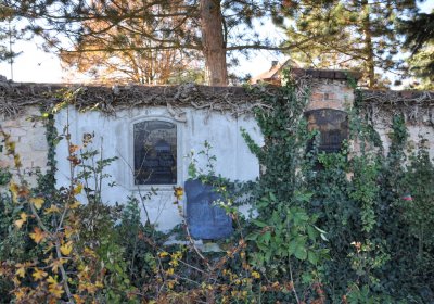 Radíčeves obecní, Omnium, 2020