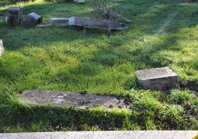 Radíčeves obecní, Omnium, 2020