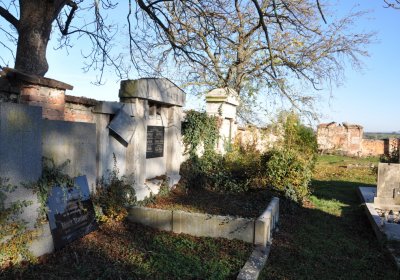 Radíčeves obecní, Omnium, 2020