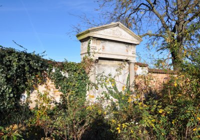 Radíčeves obecní, Omnium, 2020