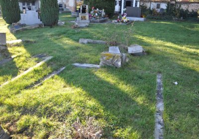 Radíčeves obecní, Omnium, 2020