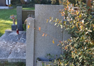 Radíčeves obecní, Omnium, 2020