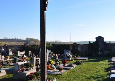 Radíčeves obecní, Omnium, 2020