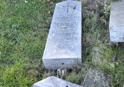 Radíčeves obecní, Omnium, 2020