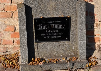 Radíčeves obecní, Omnium, 2020