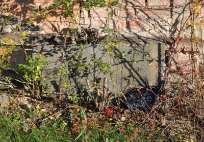 Radíčeves obecní, Omnium, 2020