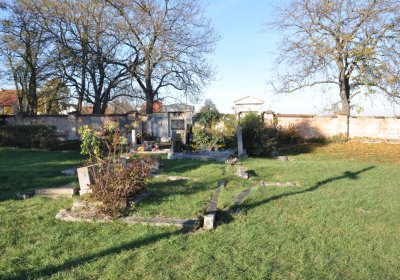 Radíčeves obecní, Omnium, 2020