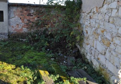 Radíčeves obecní, Omnium, 2020