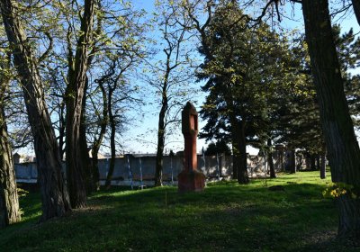 Radíčeves obecní, Omnium, 2020