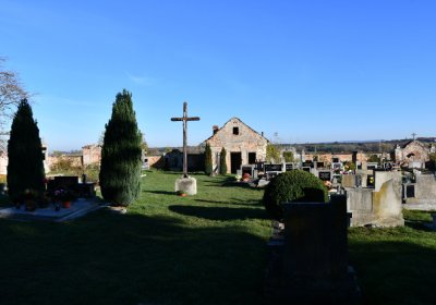 Radíčeves obecní, Omnium, 2020