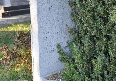 Radíčeves obecní, Omnium, 2020