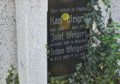 Radíčeves obecní, Omnium, 2020