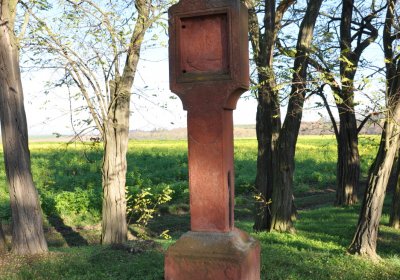 Radíčeves obecní, Omnium, 2020