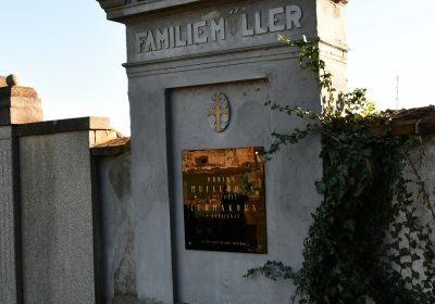 Radíčeves obecní, Omnium, 2020