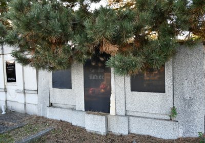 Radíčeves obecní, Omnium, 2020