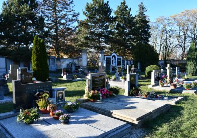 Radíčeves obecní, Omnium, 2020