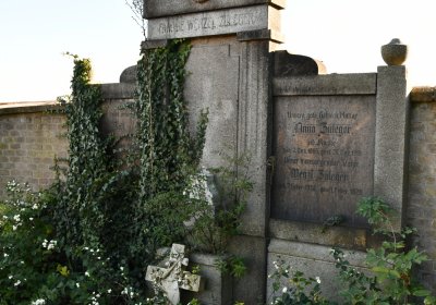 Radíčeves obecní, Omnium, 2020