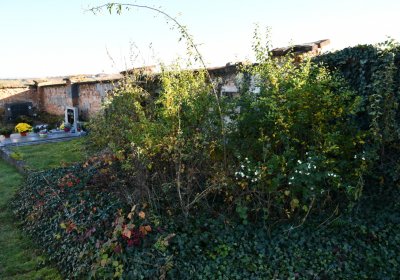 Radíčeves obecní, Omnium, 2020