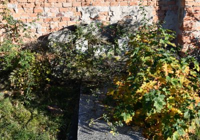 Radíčeves obecní, Omnium, 2020