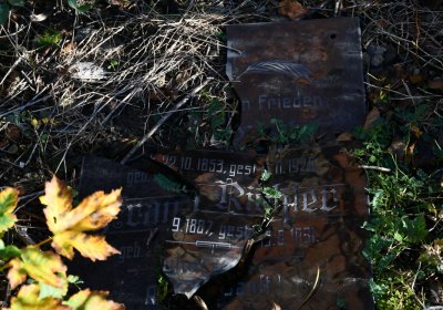 Radíčeves obecní, Omnium, 2020