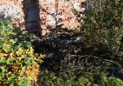 Radíčeves obecní, Omnium, 2020