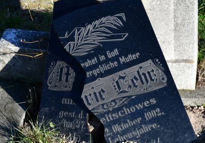 Radíčeves obecní, Omnium, 2020