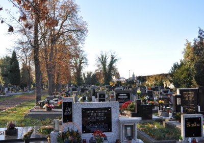 Žatec, Omnium, 2020