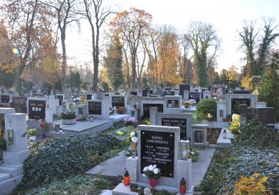 Žatec, Omnium, 2020