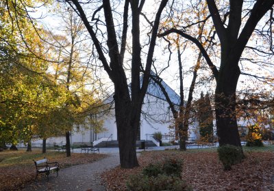 Žatec, Omnium, 2020