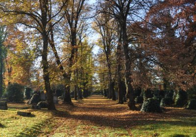 Žatec, Omnium, 2020