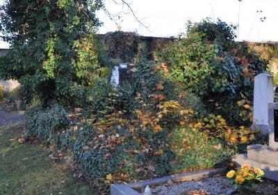 Žatec, Omnium, 2020