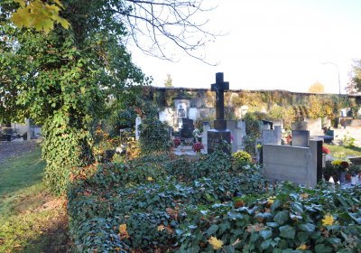 Žatec, Omnium, 2020