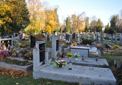 Žatec, Omnium, 2020