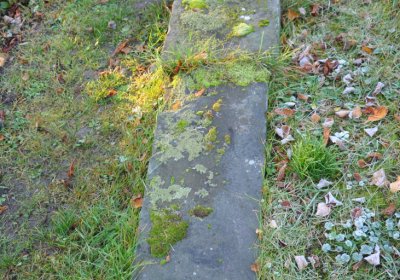 Žatec, Omnium, 2020