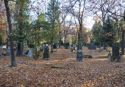 Žatec, Omnium, 2020