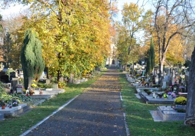 Žatec, Omnium, 2020