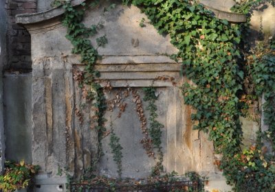 Žatec, Omnium, 2020