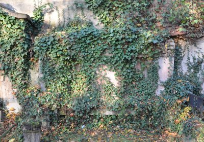 Žatec, Omnium, 2020