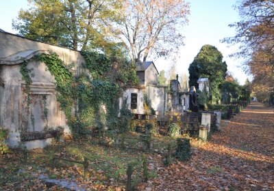 Žatec, Omnium, 2020