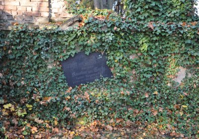 Žatec, Omnium, 2020