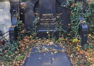 Žatec, Omnium, 2020