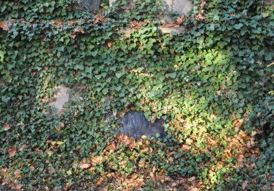 Žatec, Omnium, 2020