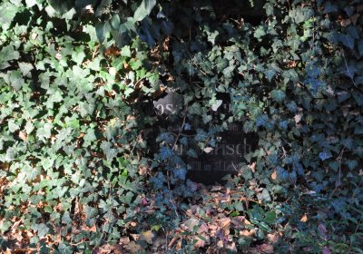 Žatec, Omnium, 2020