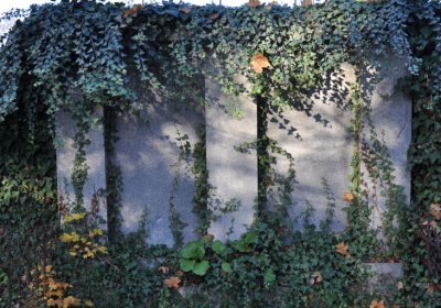 Žatec, Omnium, 2020