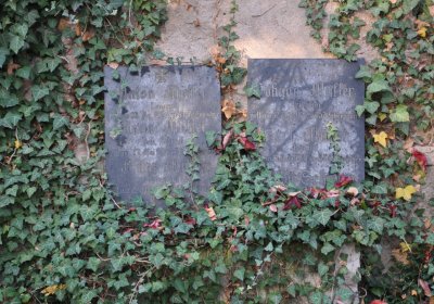 Žatec, Omnium, 2020