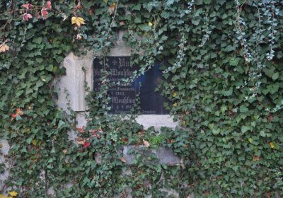 Žatec, Omnium, 2020