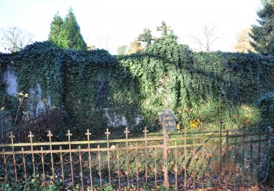 Žatec, Omnium, 2020