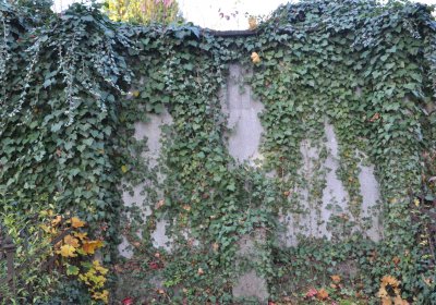 Žatec, Omnium, 2020